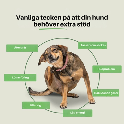 Naturerise- För ett friskare liv. För fler år tillsammans.